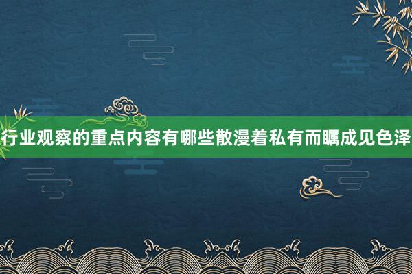 行业观察的重点内容有哪些散漫着私有而瞩成见色泽