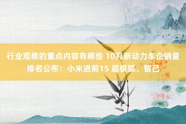 行业观察的重点内容有哪些 10月新动力车企销量排名公布：小米进前15 超极狐、智己