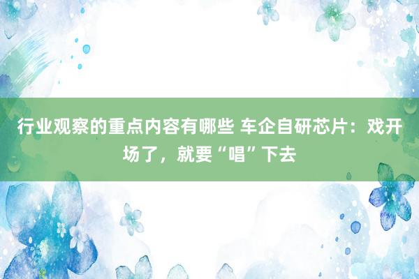 行业观察的重点内容有哪些 车企自研芯片：戏开场了，就要“唱”下去