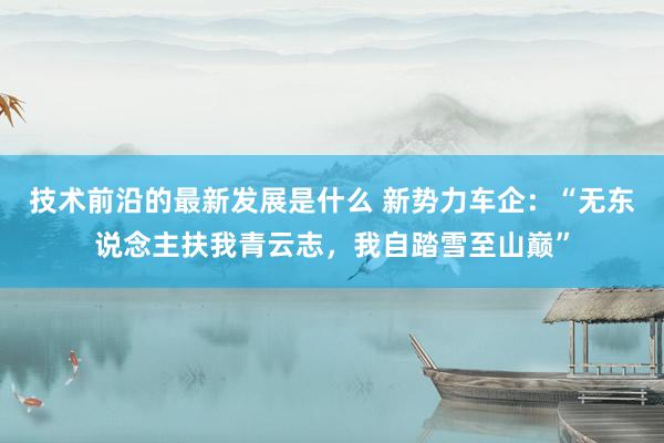 技术前沿的最新发展是什么 新势力车企：“无东说念主扶我青云志，我自踏雪至山巅”