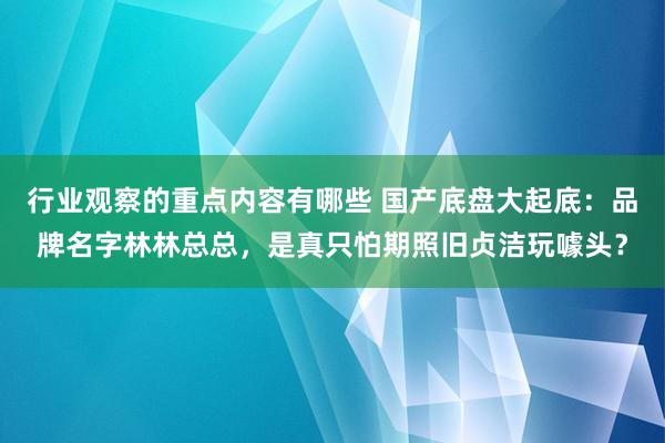 行业观察的重点内容有哪些 国产底盘大起底：品牌名字林林总总，是真只怕期照旧贞洁玩噱头？