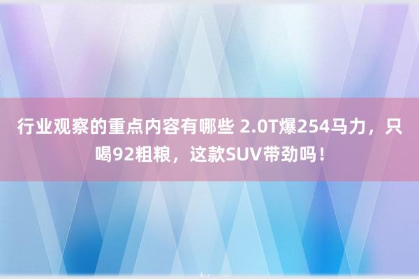 行业观察的重点内容有哪些 2.0T爆254马力，只喝92粗粮，这款SUV带劲吗！