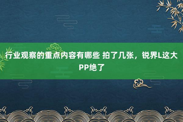 行业观察的重点内容有哪些 拍了几张，锐界L这大PP绝了