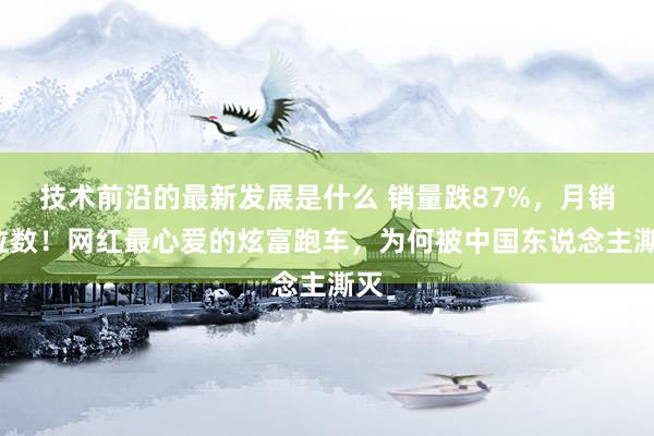 技术前沿的最新发展是什么 销量跌87%，月销2位数！网红最心爱的炫富跑车，为何被中国东说念主澌灭