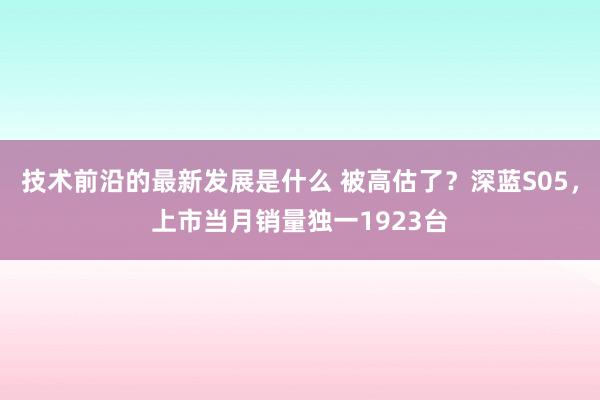 技术前沿的最新发展是什么 被高估了？深蓝S05，上市当月销量独一1923台