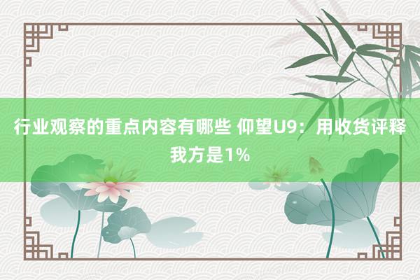 行业观察的重点内容有哪些 仰望U9：用收货评释我方是1%