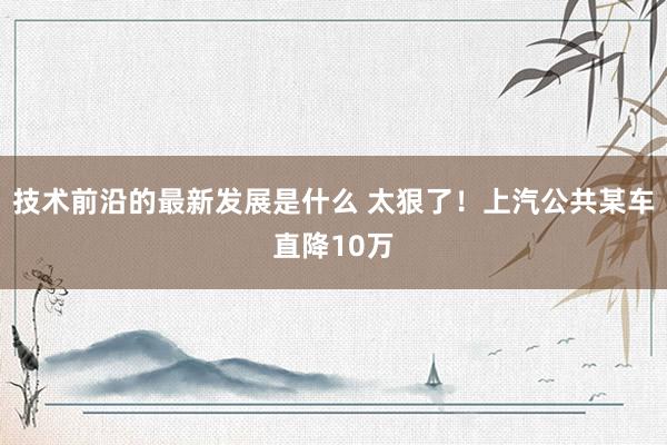 技术前沿的最新发展是什么 太狠了！上汽公共某车直降10万