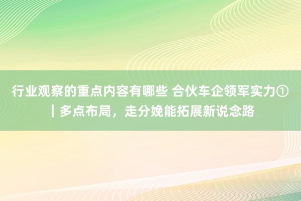 行业观察的重点内容有哪些 合伙车企领军实力①｜多点布局，走分娩能拓展新说念路