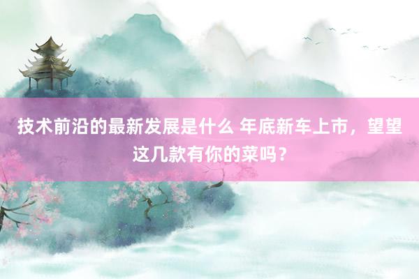 技术前沿的最新发展是什么 年底新车上市，望望这几款有你的菜吗？