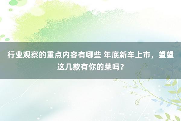 行业观察的重点内容有哪些 年底新车上市，望望这几款有你的菜吗？