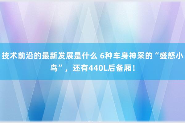 技术前沿的最新发展是什么 6种车身神采的“盛怒小鸟”，还有440L后备厢！