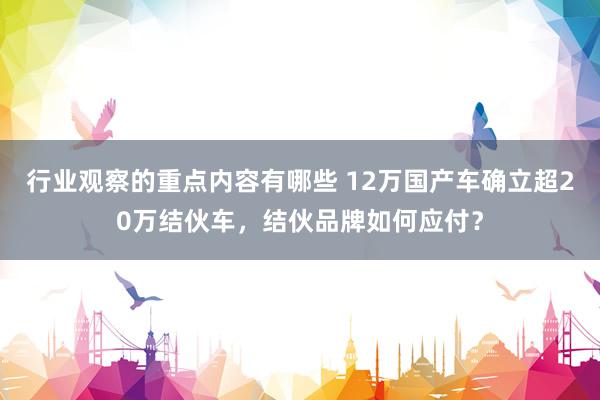 行业观察的重点内容有哪些 12万国产车确立超20万结伙车，结伙品牌如何应付？