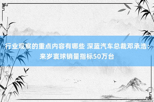 行业观察的重点内容有哪些 深蓝汽车总裁邓承浩：来岁寰球销量指标50万台