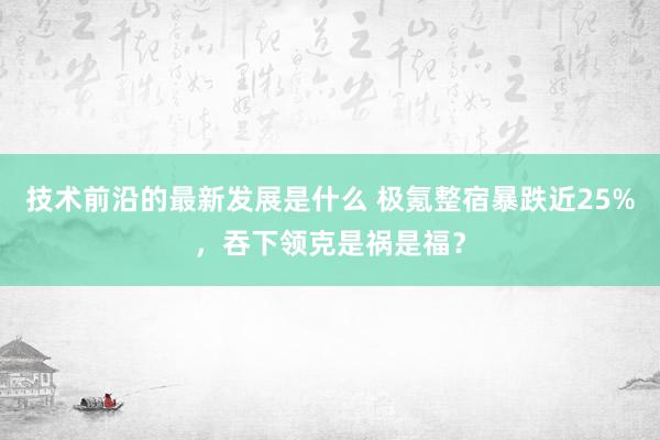 技术前沿的最新发展是什么 极氪整宿暴跌近25%，吞下领克是祸是福？