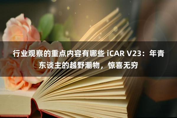 行业观察的重点内容有哪些 iCAR V23：年青东谈主的越野潮物，惊喜无穷