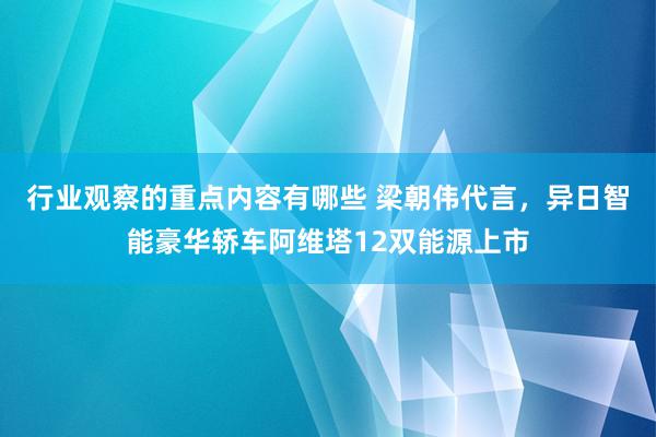 行业观察的重点内容有哪些 梁朝伟代言，异日智能豪华轿车阿维塔12双能源上市