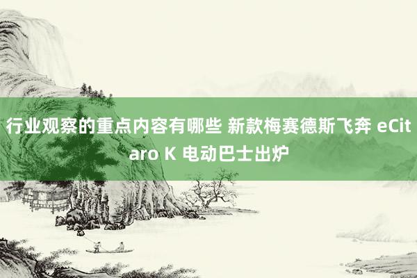 行业观察的重点内容有哪些 新款梅赛德斯飞奔 eCitaro K 电动巴士出炉