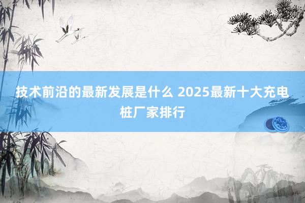 技术前沿的最新发展是什么 2025最新十大充电桩厂家排行