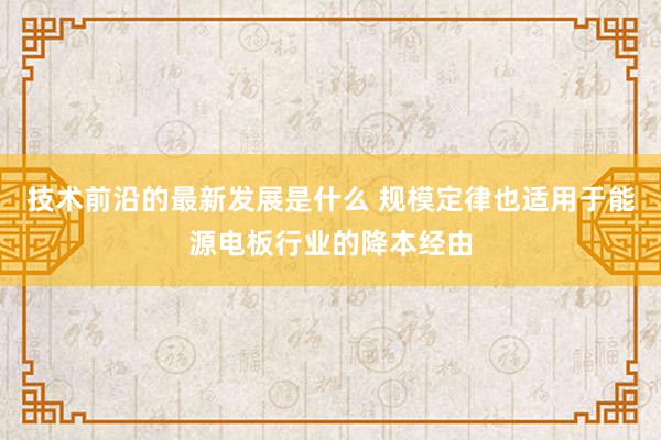 技术前沿的最新发展是什么 规模定律也适用于能源电板行业的降本经由