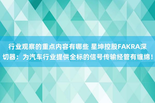 行业观察的重点内容有哪些 星坤控股FAKRA深切器：为汽车行业提供全标的信号传输经管有缠绵！