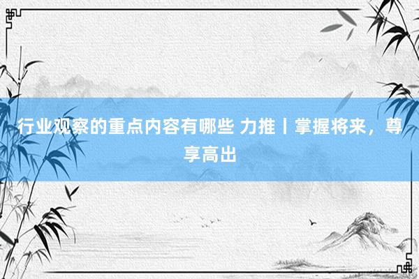 行业观察的重点内容有哪些 力推丨掌握将来，尊享高出