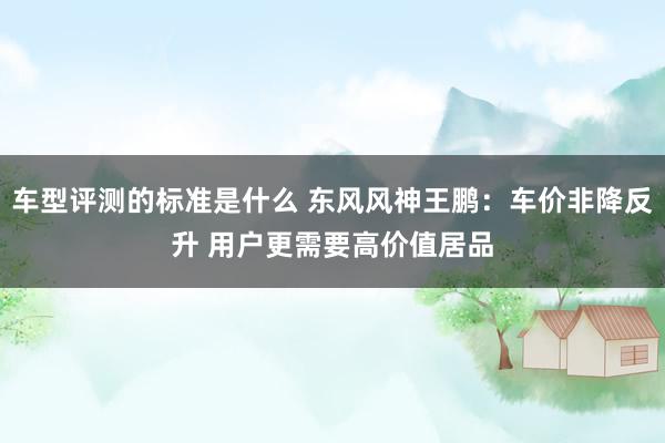 车型评测的标准是什么 东风风神王鹏：车价非降反升 用户更需要高价值居品