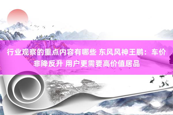 行业观察的重点内容有哪些 东风风神王鹏：车价非降反升 用户更需要高价值居品