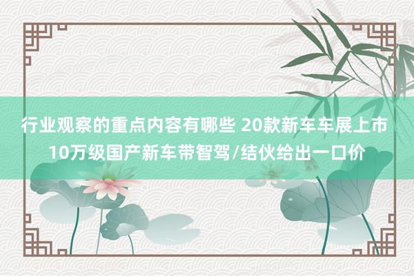 行业观察的重点内容有哪些 20款新车车展上市 10万级国产新车带智驾/结伙给出一口价