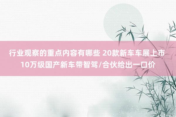 行业观察的重点内容有哪些 20款新车车展上市 10万级国产新车带智驾/合伙给出一口价