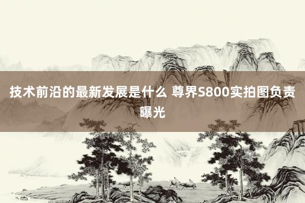 技术前沿的最新发展是什么 尊界S800实拍图负责曝光