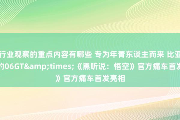 行业观察的重点内容有哪些 专为年青东谈主而来 比亚迪海豹06GT&times;《黑听说：悟空》官方痛车首发亮相