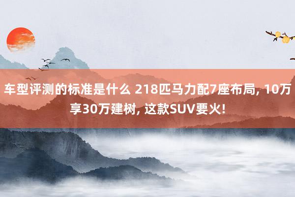 车型评测的标准是什么 218匹马力配7座布局, 10万享30万建树, 这款SUV要火!