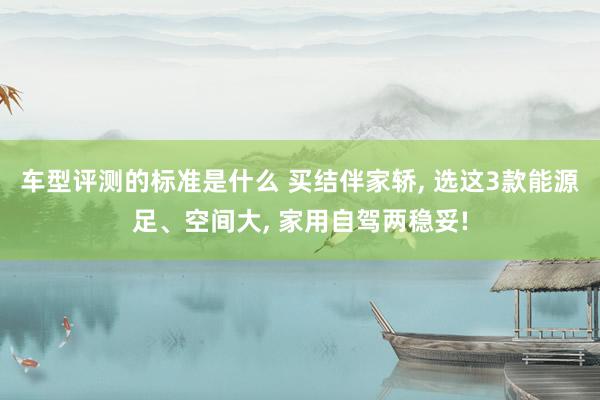 车型评测的标准是什么 买结伴家轿, 选这3款能源足、空间大, 家用自驾两稳妥!