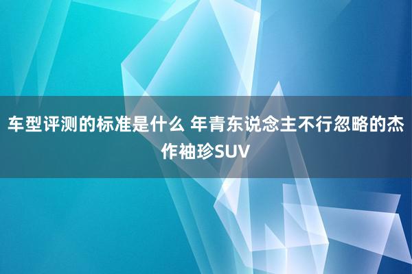 车型评测的标准是什么 年青东说念主不行忽略的杰作袖珍SUV