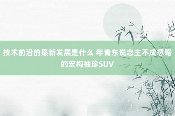 技术前沿的最新发展是什么 年青东说念主不成忽略的宏构袖珍SUV