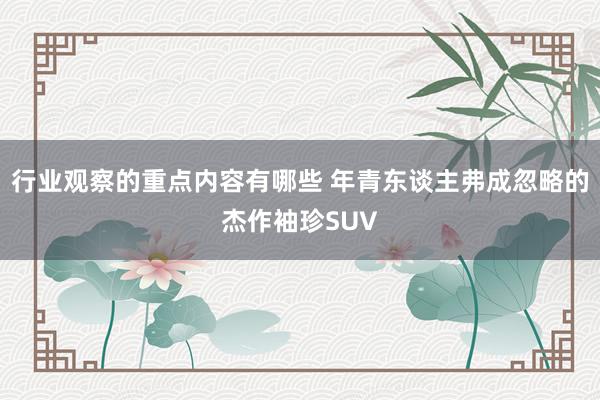 行业观察的重点内容有哪些 年青东谈主弗成忽略的杰作袖珍SUV