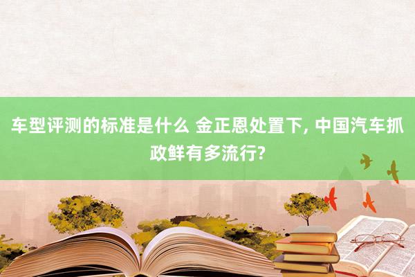 车型评测的标准是什么 金正恩处置下, 中国汽车抓政鲜有多流行?