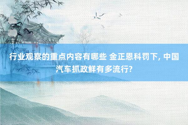 行业观察的重点内容有哪些 金正恩科罚下, 中国汽车抓政鲜有多流行?