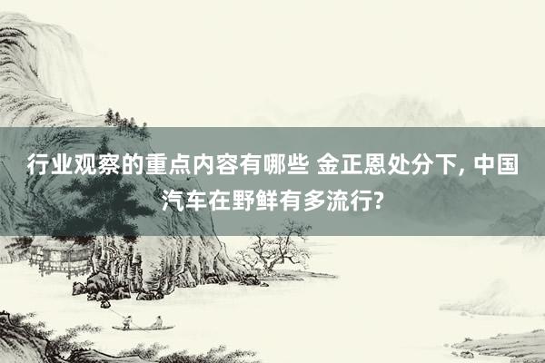 行业观察的重点内容有哪些 金正恩处分下, 中国汽车在野鲜有多流行?