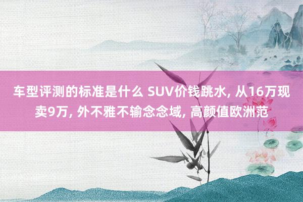 车型评测的标准是什么 SUV价钱跳水, 从16万现卖9万, 外不雅不输念念域, 高颜值欧洲范