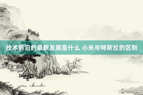 技术前沿的最新发展是什么 小米与特斯拉的区别