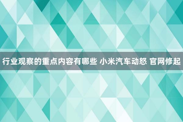 行业观察的重点内容有哪些 小米汽车动怒 官网修起