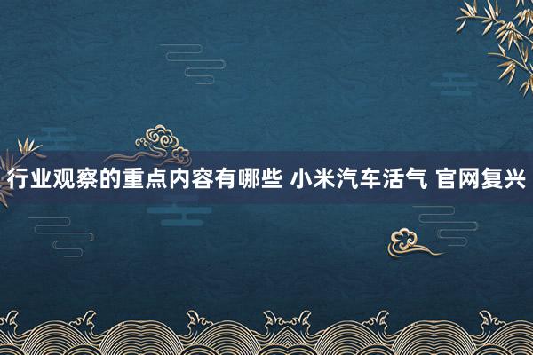 行业观察的重点内容有哪些 小米汽车活气 官网复兴