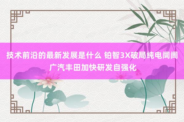 技术前沿的最新发展是什么 铂智3X破局纯电阛阓 广汽丰田加快研发自强化