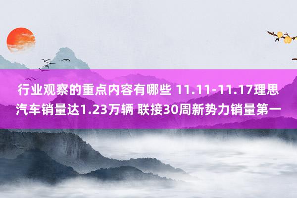 行业观察的重点内容有哪些 11.11-11.17理思汽车销量达1.23万辆 联接30周新势力销量第一