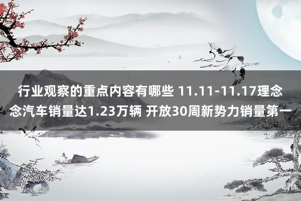 行业观察的重点内容有哪些 11.11-11.17理念念汽车销量达1.23万辆 开放30周新势力销量第一