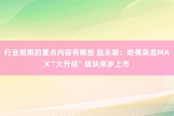 行业观察的重点内容有哪些 赵永坡：哈弗枭龙MAX“大升级”版块来岁上市